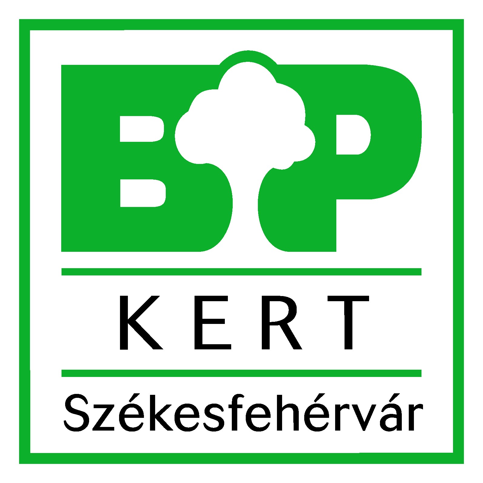 Profil kép